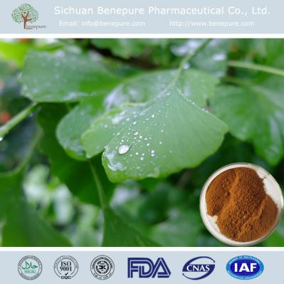 Ginkgo Biloba Extract ()